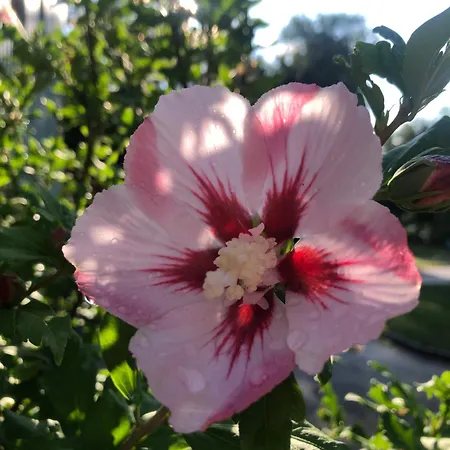 Vewoe Seeklang Βίλα *